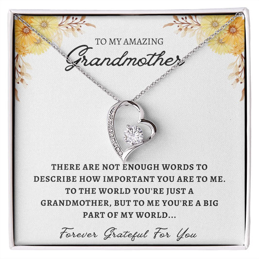 My Amazing Grandmother - Forever Love Necklace💖